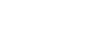 Fiat Logo