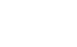 Hyundai Logo with White Hyundai Text